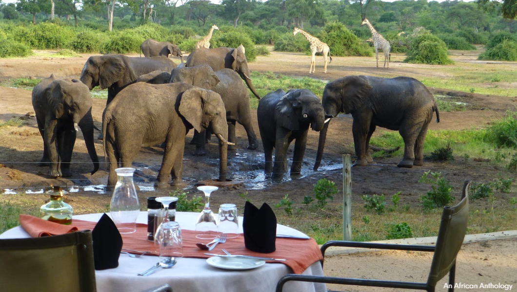 Elephants